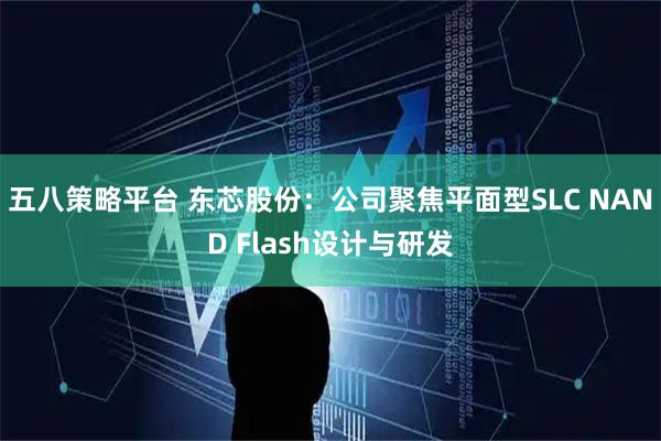 五八策略平台 东芯股份：公司聚焦平面型SLC NAND Flash设计与研发