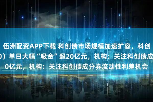 伍洲配资APP下载 科创债市场规模加速扩容,科创债ETF招商(551900)单日大幅“吸金”超20亿元,机构:关注科创债成分券流动性利差机会