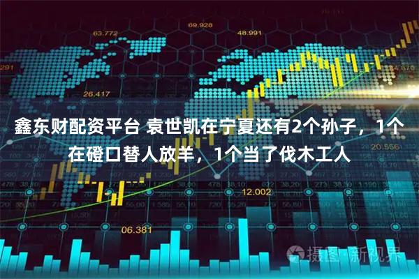 鑫东财配资平台 袁世凯在宁夏还有2个孙子，1个在磴口替人放羊，1个当了伐木工人