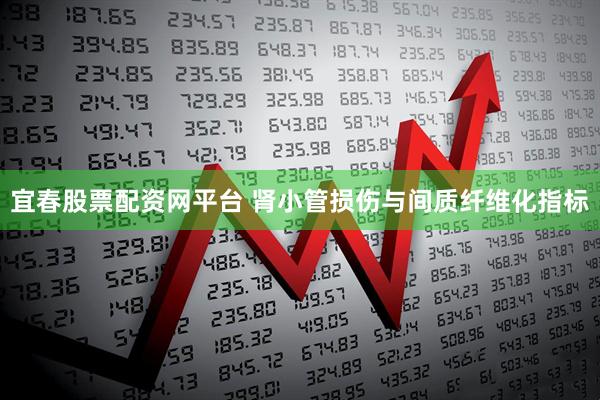 宜春股票配资网平台 肾小管损伤与间质纤维化指标