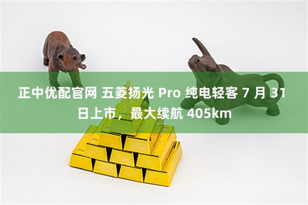 正中优配官网 五菱扬光 Pro 纯电轻客 7 月 31 日上市，最大续航 405km